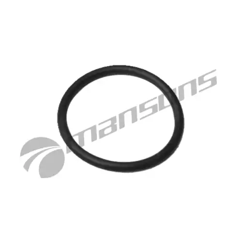 Кольцо уплотнительное (двигатель) OR31 MANSONS
