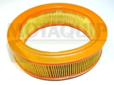Фильтр воздушный MOTAQUIP VFA253
