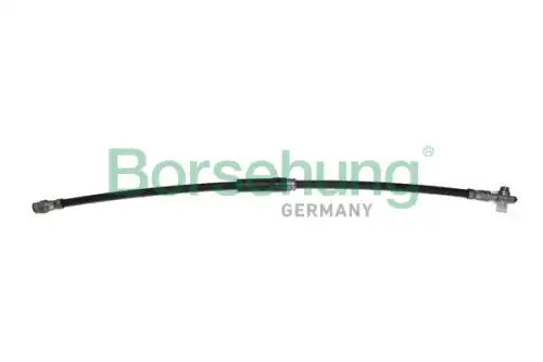 шланг тормозной передний B10953 BORSEHUNG
