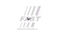 Предохранительный клин клапана FT43801 FAST