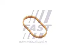 Прокладка коллектора FAST FT49461
