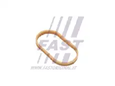 Прокладка коллектора FAST FT49461
