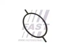 Прокладка, вакуумный насос FT49923 FAST