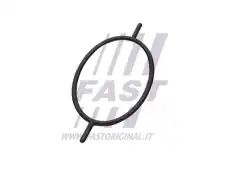 Прокладка, вакуумный насос FT49923 FAST
