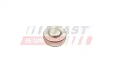 Пробка антифриза FT50801 FAST