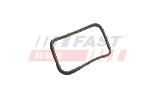 Прокладка, термостат FT58302 FAST