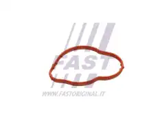 Прокладка, термостат FT58305 FAST