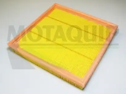 Фильтр воздушный MOTAQUIP VFA667