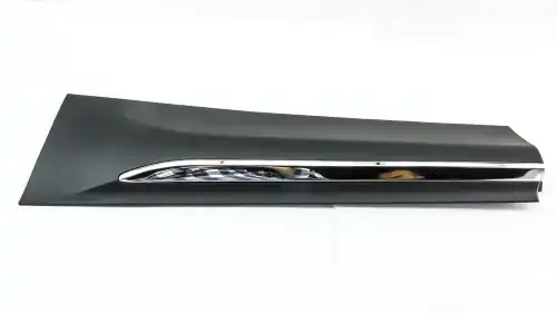 CN0970200001 Молдинг двери DOMINANT