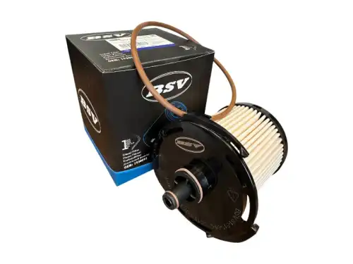 Топливный фильтр BSSV BSV81515012