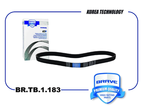 BRAVE BR.TB.1.183