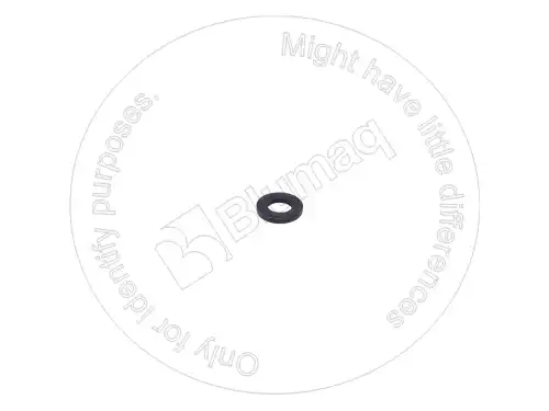 ШАЙБА 2856124 ST BLUMAQ