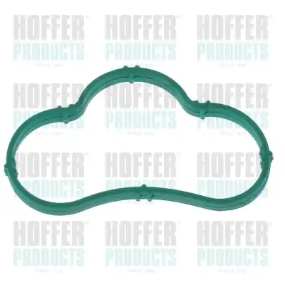 Прокладка коллектора HOFFER 016198