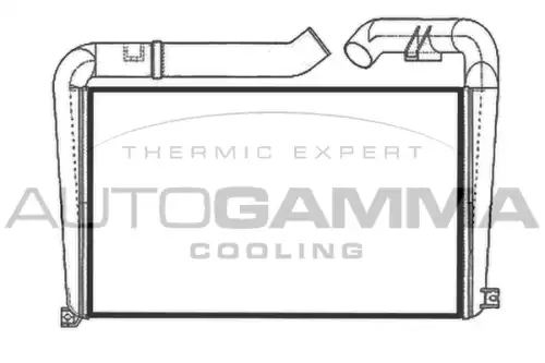 Интеркулер AUTOGAMMA 405068