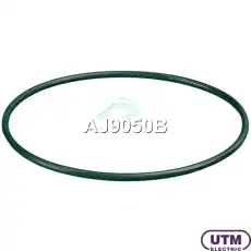 AJ9050B Модуль в сборе с бензонасосом UTM