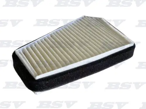 Салонный фильтр BSSV BSV75565031