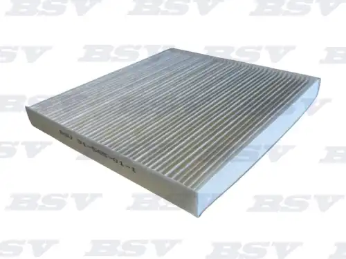 Салонный фильтр BSSV BSV91565011