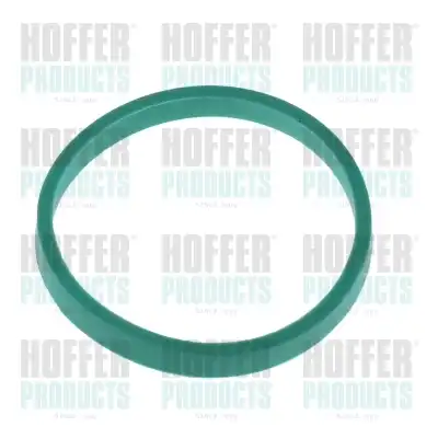 Прокладка коллектора HOFFER 016166