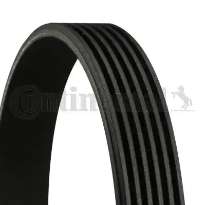 CONTINENTAL 6PK2460