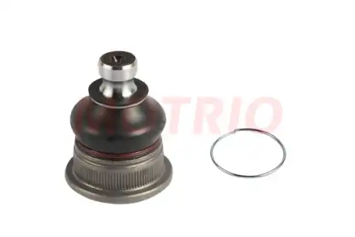 MOTRIO 8550501416