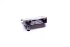 Масляный радиатор SKV 31SKV216