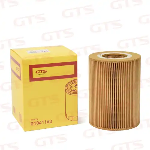Фильтр масляный GTS G1041163