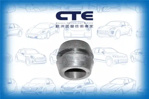 Рычаг подвески CTE CBH03001