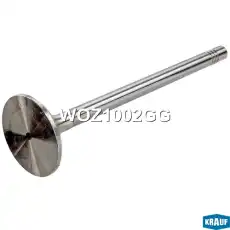 Клапан выпускной WOZ1002GG KRAUF