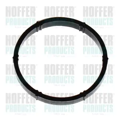 Прокладка коллектора HOFFER 016153