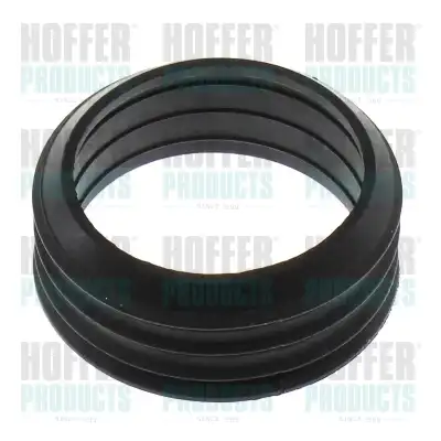 Прокладка коллектора HOFFER 016160