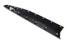 F-MOLDING 42811554 GM