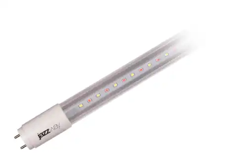 JAZZWAY 5010314