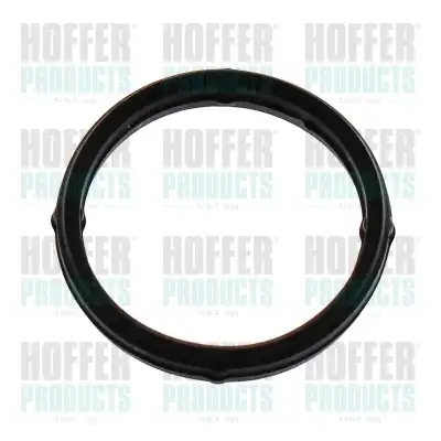 Прокладка коллектора HOFFER 016249