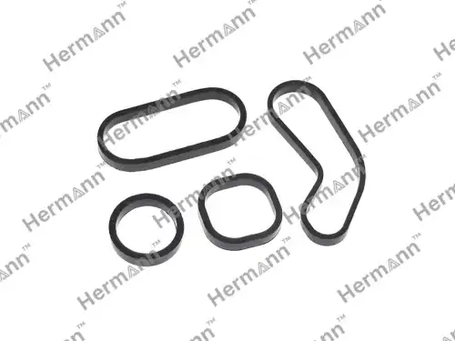 Комплект прокладок HR846110 HERMANN