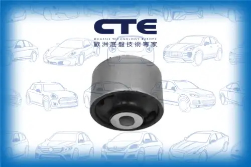 Рычаг подвески CTE CBH03080
