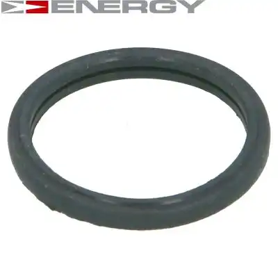 Прокладка, термостат 90096383 ENERGY