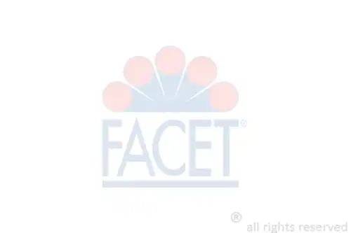Катушка зажигания FACET 9.6486
