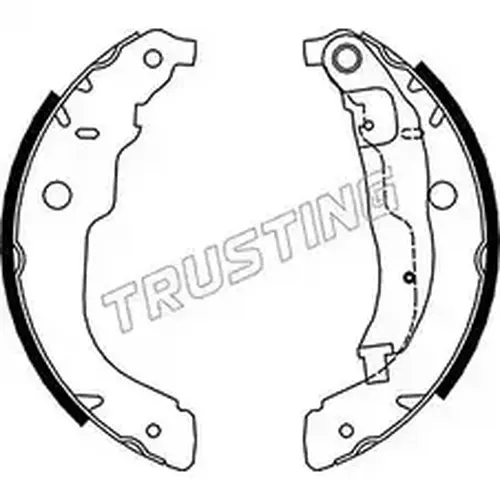 Тормозные колодки барабанные TRUSTING 079.196