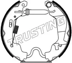 Комплект тормозных колодок 6256 TRUSTING
