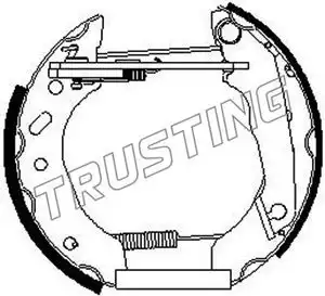 Пружина, тормозная колодка 6264 TRUSTING