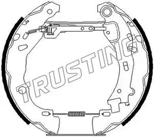 шланг тормозной перед. Ren 6259 TRUSTING