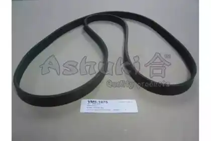 ASHUKI VM6-1875