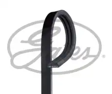 GATES 3PK648