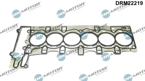 Прокладка ГБЦ DR. MOTOR DRM22219