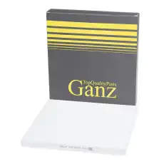 Салонный фильтр GANZ GIR03248