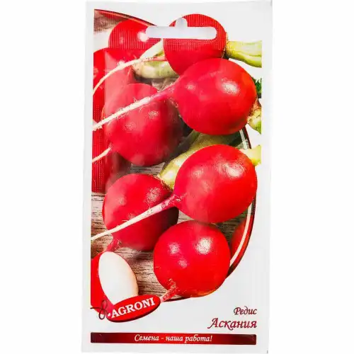 Редис АСКАНИЯ 1703 АГРОНИ