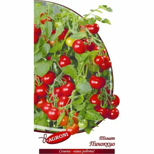 Томат ПИНОККИО 7071 АГРОНИ