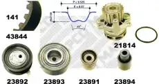 ремкомплект ГРМ с помпой Audi 41844 MAPCO