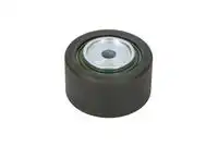 ролик обводной Citr E2P5955BTA BTA