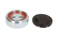 ролик натяжной генератора Audi E2W0009BTA BTA